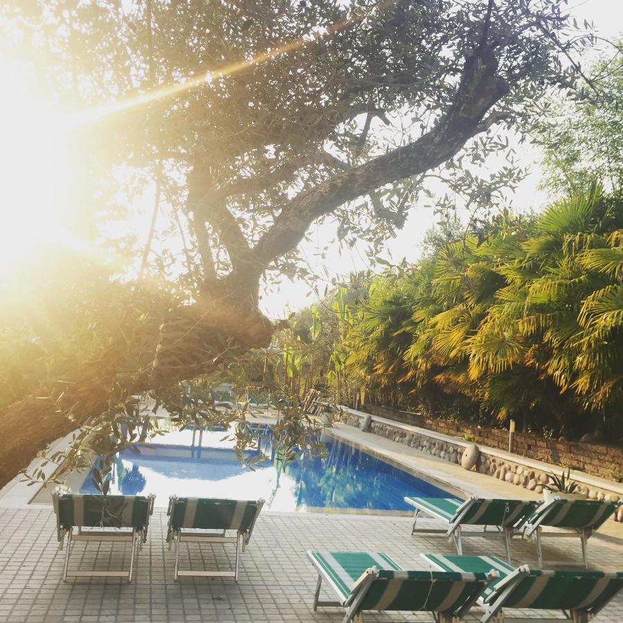 巴多利诺Agriturismo Corte Bozzini别墅 外观 照片